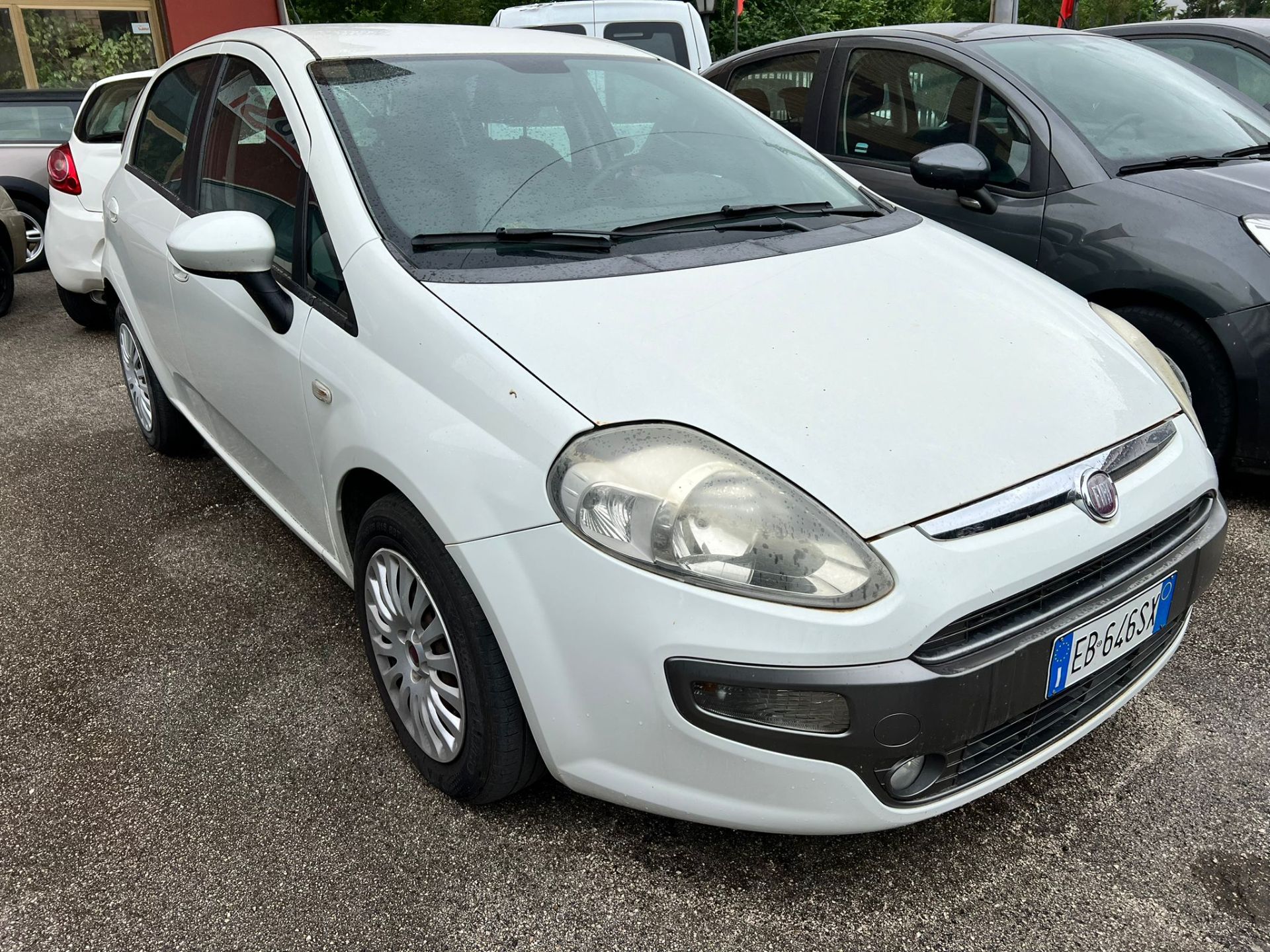 Fiat Punto Evo  1.3 95 cv Diesel/Mjet Dynamik